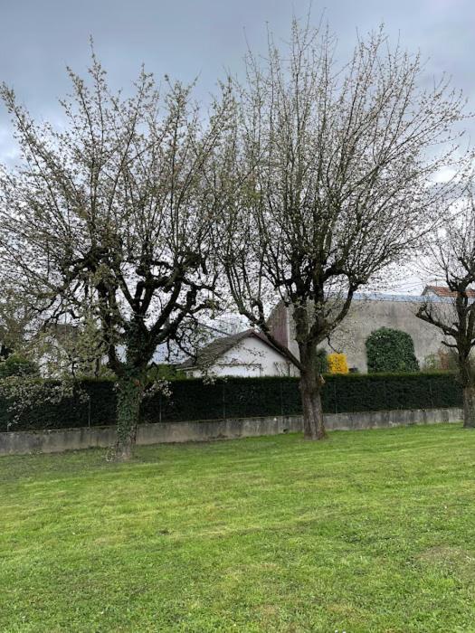 Basel Airport Garden Hotell Blotzheim Eksteriør bilde